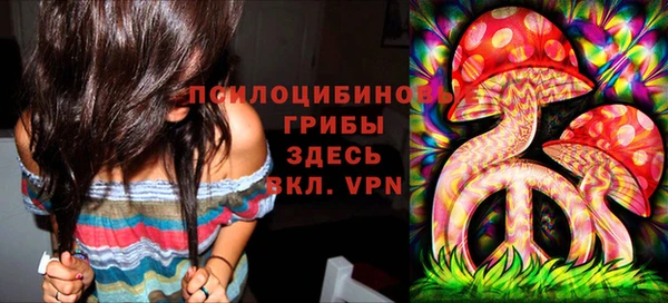 соль ск Балахна