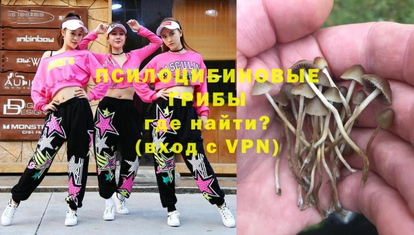 ECSTASY Армянск