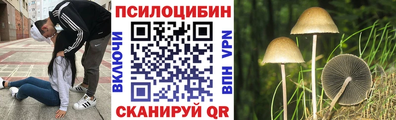 сайты даркнета телеграм Борисоглебск Галлюциногенные грибы MAGIC MUSHROOMS